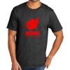 Tri Blend Tee Thumbnail