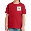 Youth Softstyle ® Midweight Tee Thumbnail