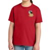 Youth Softstyle ® Midweight Tee Thumbnail