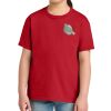 Youth Softstyle ® Midweight Tee Thumbnail